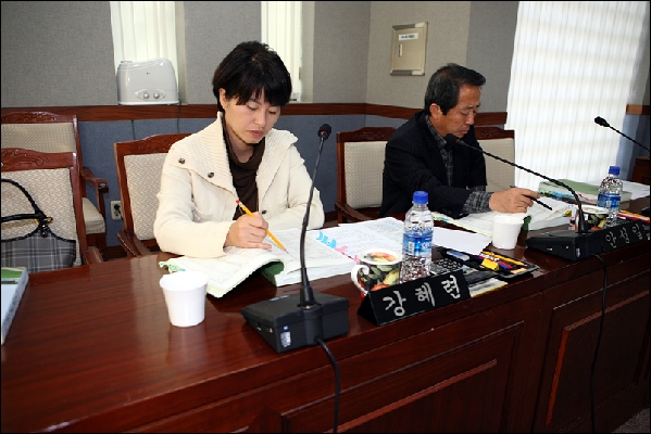 2010년 당초예산심의(재난관리과,도시디자인과)_2