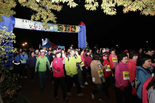 2012 남구 달빛걷기대회_3