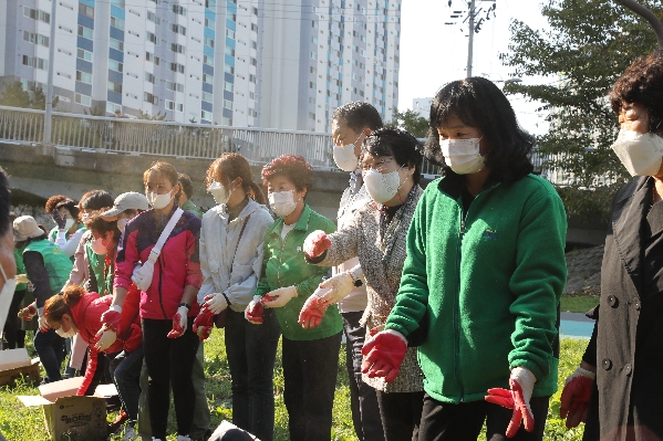울산남구새마을회 다문화주부와 함께하는 생명의 샛강가꾸기_3