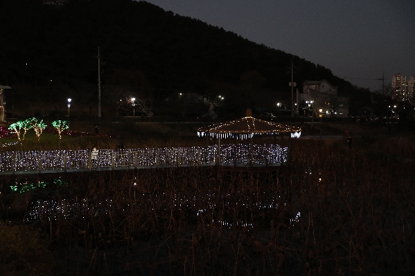 선암호수공원 크리스마스 트리 점등식_5