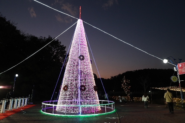 선암호수공원 크리스마스 트리 점등식_8