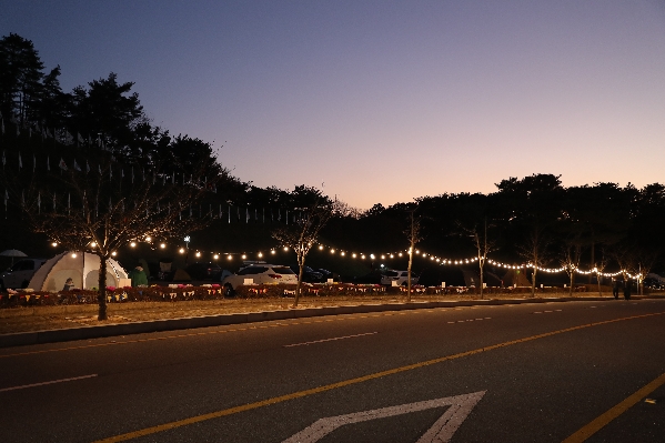 울산 남구 그린차박페스티벌_1