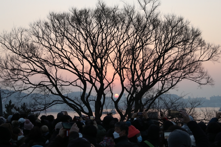 울산 남구 장생포 해맞이 행사_4