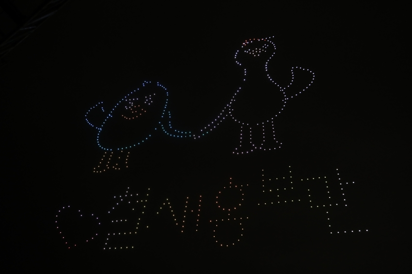 태화강 빛 축제_5