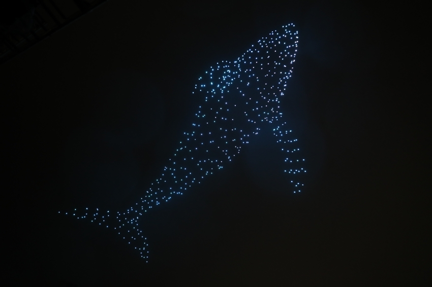 태화강 빛 축제_9