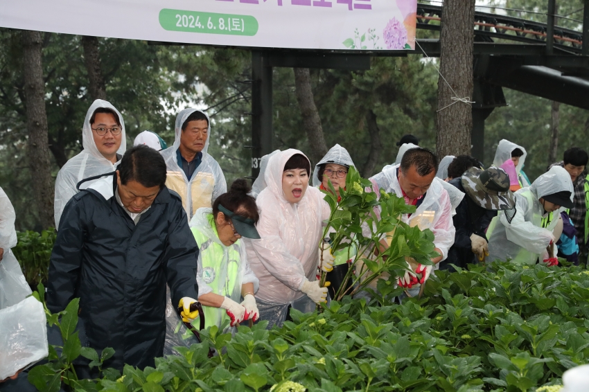장생포 수국마을 만들기 프로젝트, 수국정원에서의 즐거운 소풍_4