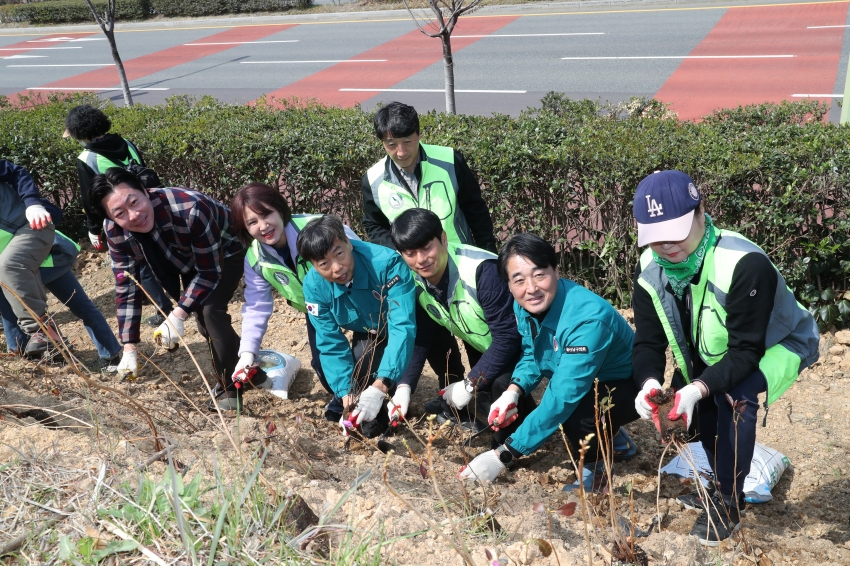 자연보호협의회 여천 메타세콰이어길 수목식제 행사_5