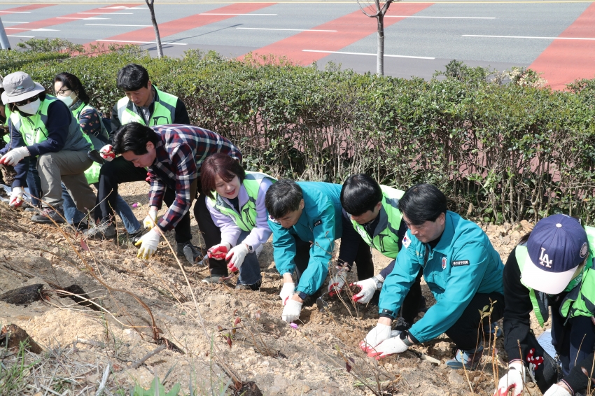 자연보호협의회 여천 메타세콰이어길 수목식제 행사_6