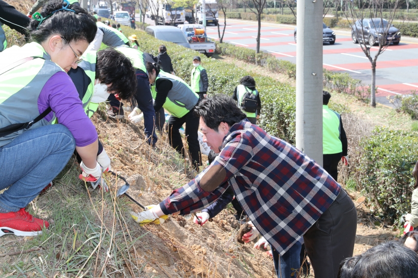 자연보호협의회 여천 메타세콰이어길 수목식제 행사_8
