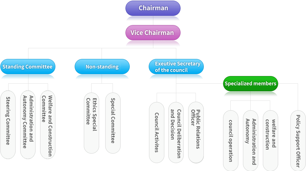 chairman, vice chairman, standing committee, non-standing, exeutive secretary of the council, specialized members, steering committee, administration and autonomy committee, welfare and construction committee, special committee, ethics special committee, special committee, council deliberation and decision, council activites, council operation, administration and autonomy, welfare and construction, policy support officer